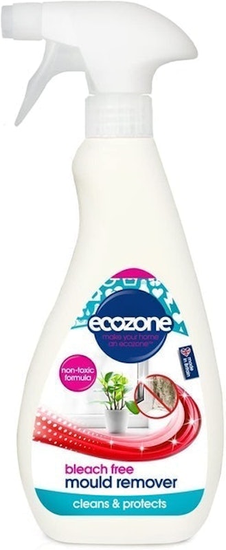 Bleach-Free Mould Remover 1