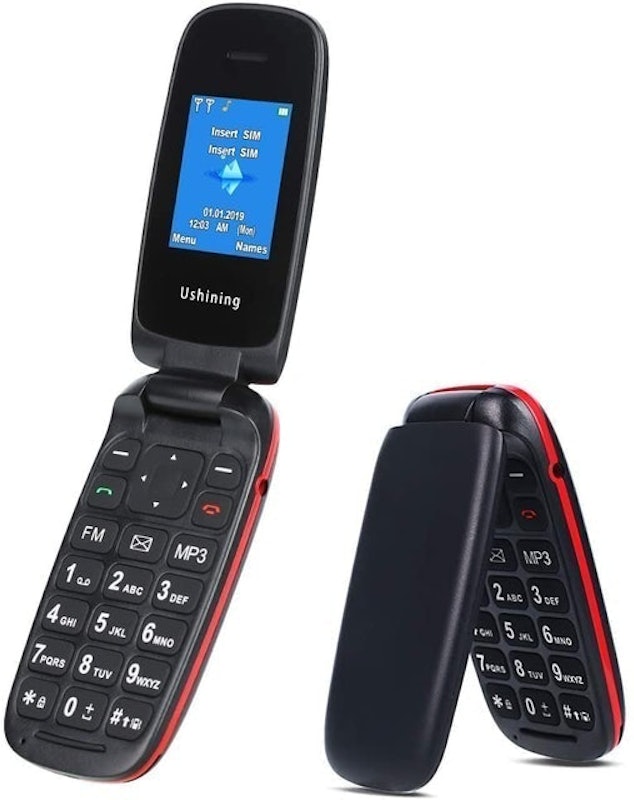 F200 Flip Phone 1