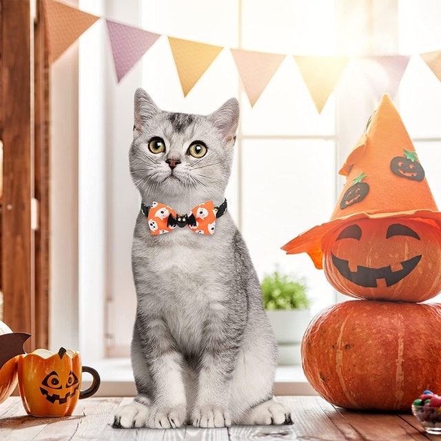 Halloween Cat Collars 4