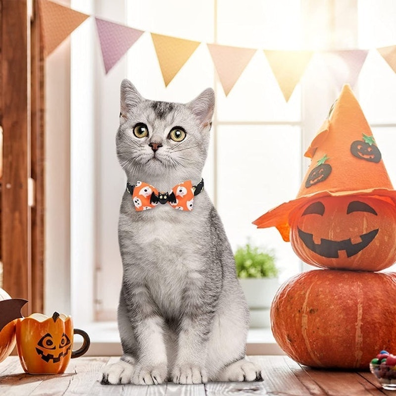 Halloween Cat Collars 4
