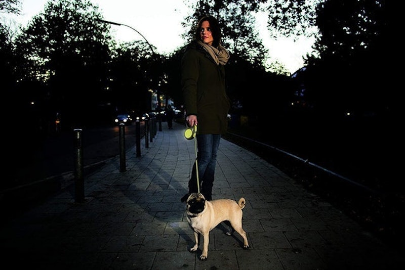 Medium Extending Dog Lead 3