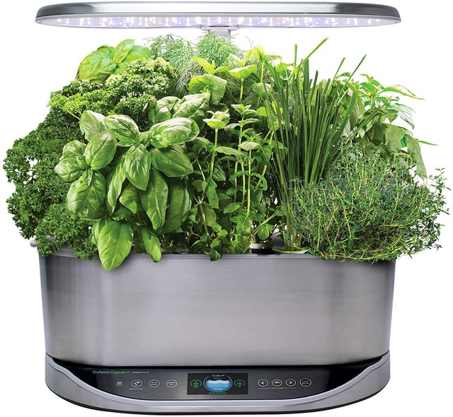 10 Best Indoor Herb Garden Kits UK 2024 | AeroGrow, Veritable and More 1