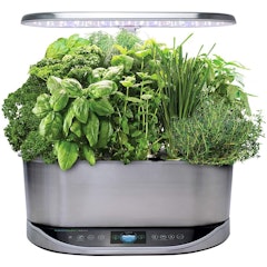 Indoor Garden