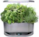 AeroGrow Indoor Garden 1
