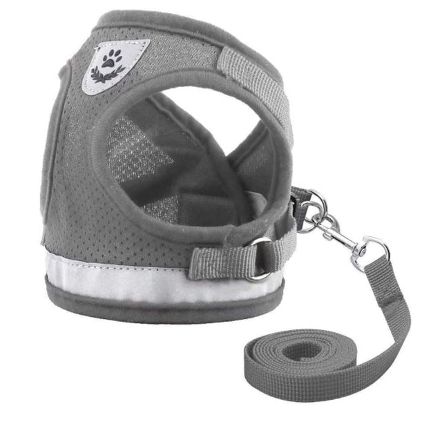 Soft Jacket Step-In Harness 1