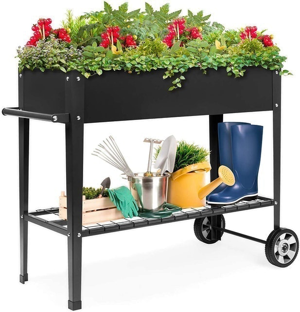 10 Best Raised Garden Beds UK | VegTrug Vegepod and More 4