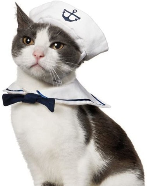 Cat Sailor Costume 1