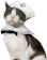 Namsan Cat Sailor Costume 1
