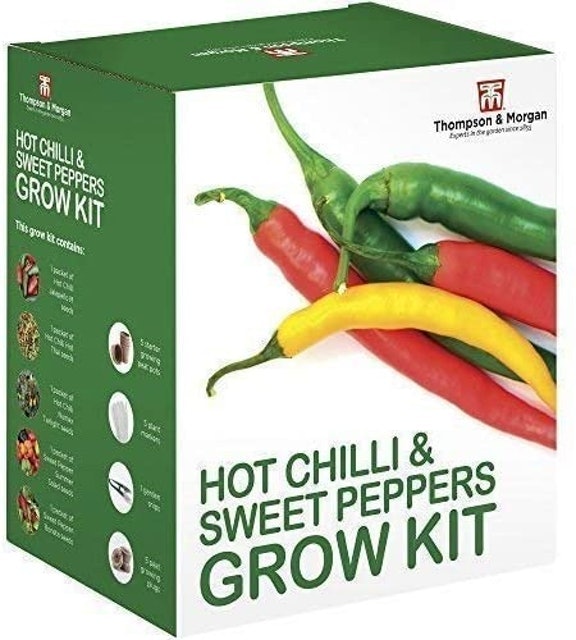 10 Best Easy to Grow Vegetables UK 2024 | Mr. Fothergill's, De Ree and More 5