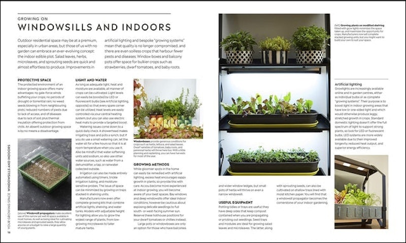 Step-By-Step Veg Patch: A Foolproof Guide to Every Stage of Growing Fruit and Veg 3