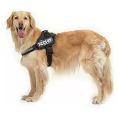 IDC Power Harness