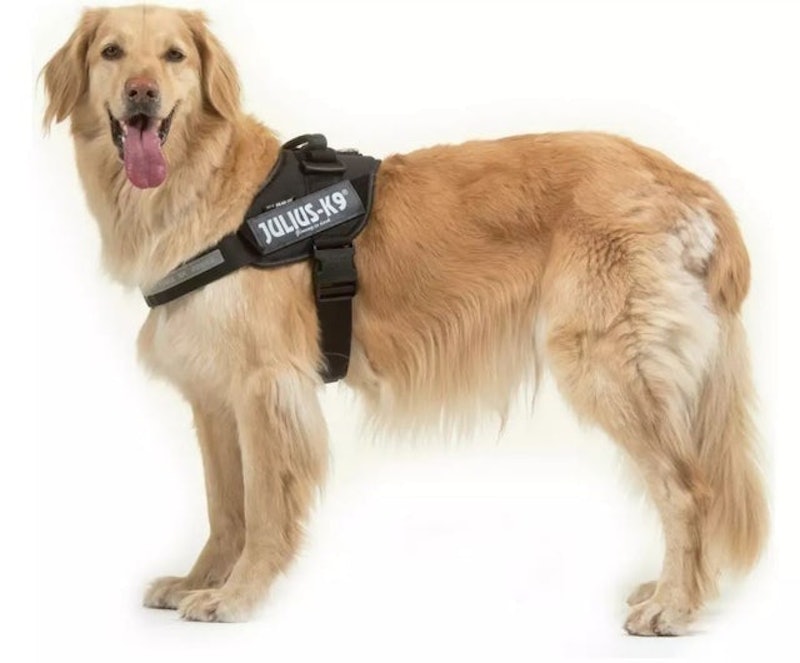 IDC Power Harness 1