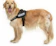 Julius-K9 IDC Power Harness 1