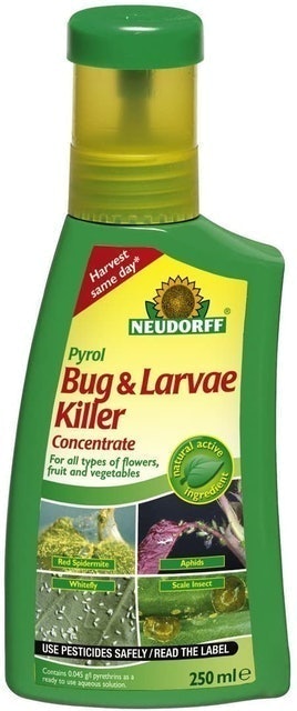9 Best Insecticides for the Garden UK 2024 | Provanto, Nuedorff and More 2