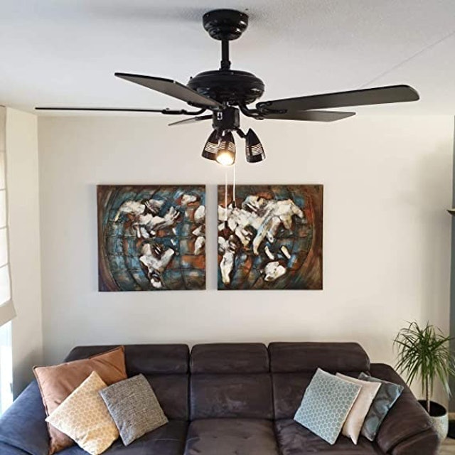 Ceiling Fan With Light  2