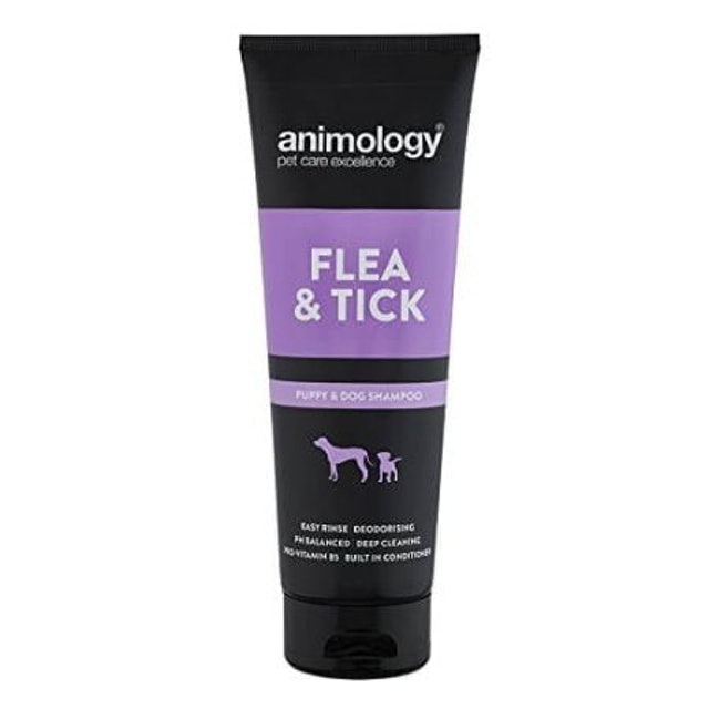 Flea and Tick Shampoo 1