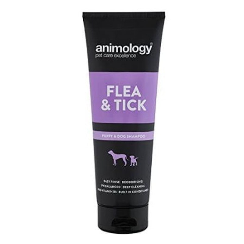 Flea and Tick Shampoo 1