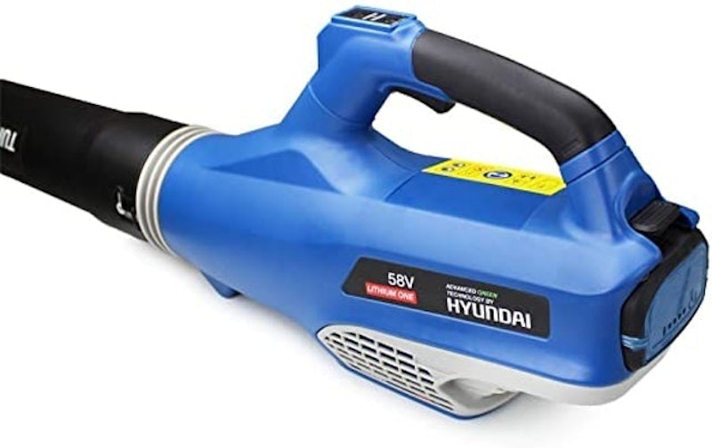 Cordless Powered Leaf Blower 2