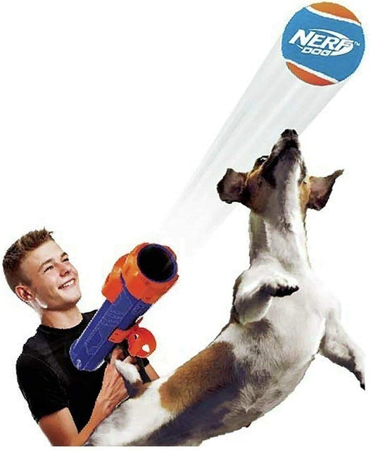 Tennis Ball Blaster 2