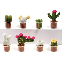 Cacti Needle Felting Kit for Beginners