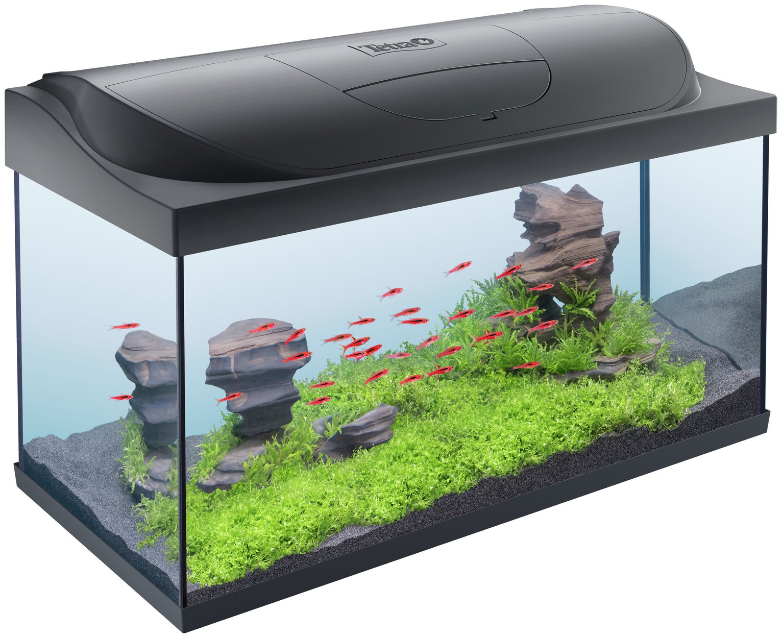 10 Best Tropical Fish Tanks UK 2024 | Tetra, Aqua One and More 2