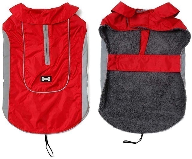 10 Best Dog Coats UK 2024 1
