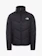 The North Face Saikuru Jacket 1