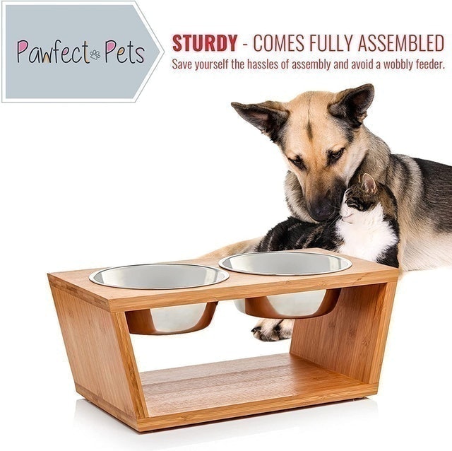 Premium 7" Elevated Dog and Cat Pet Feeder 3