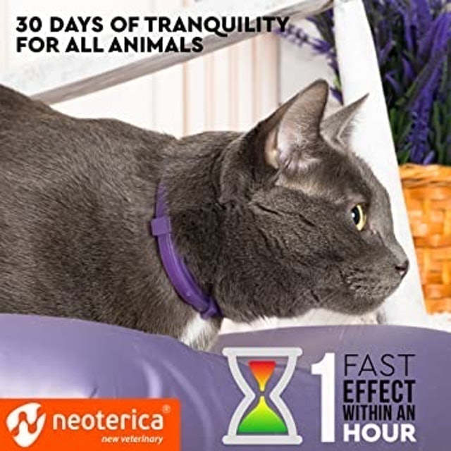 Pheromone Calming Collar for Cats 2