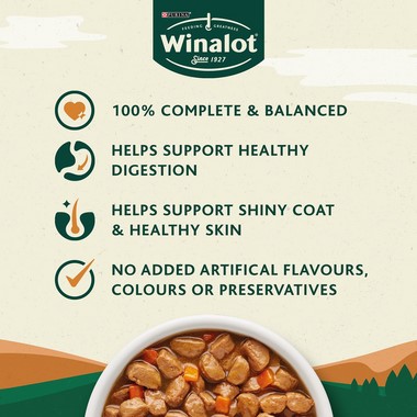 Wet Dog Food Mixed in Gravy 2