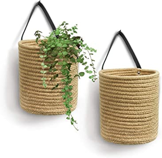 10 Best Outdoor Hanging Baskets UK 2024 | Kingfisher, Sass & Belle and More 2