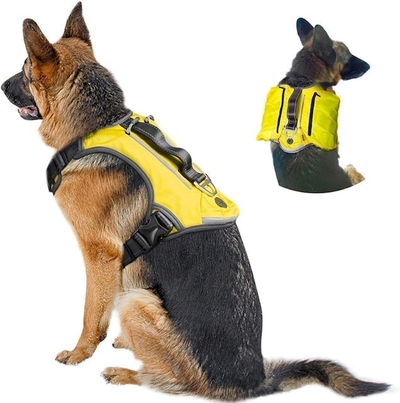 Dog Harness Backpack 2