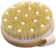 Ana Wiz Lymphatic Detox Brush 1