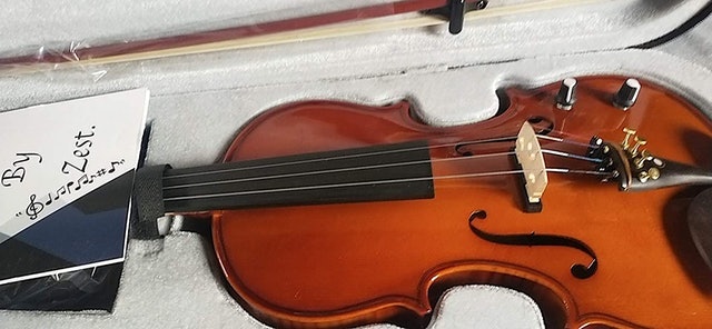 Electro Acoustic Violin 2
