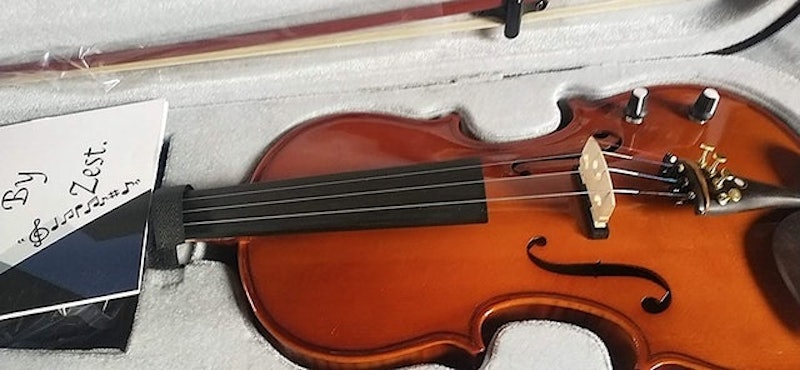 Electro Acoustic Violin 2