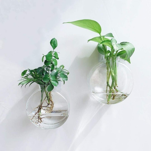 Wall Hanging Glass Terrarium  2