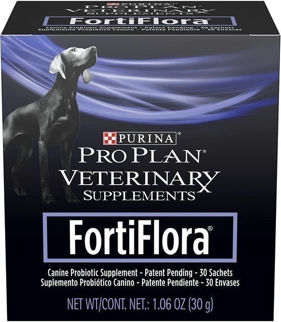 10 Best Probiotics for Dogs UK 2024  | PURINA, Buddy & Lola and More 4