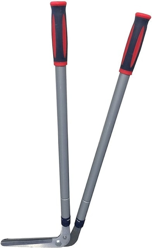 Razorsharp Telescopic Edging Shears 1