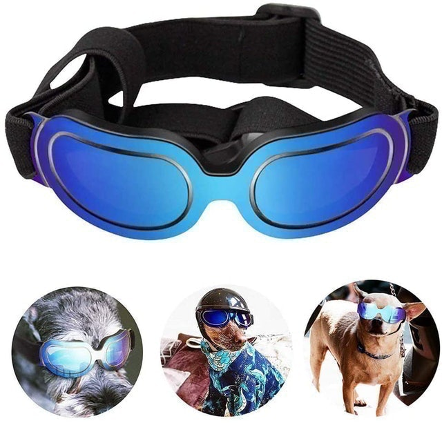 10 Best Dog Goggles UK 2024 4