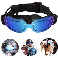 Dog Sunglasses