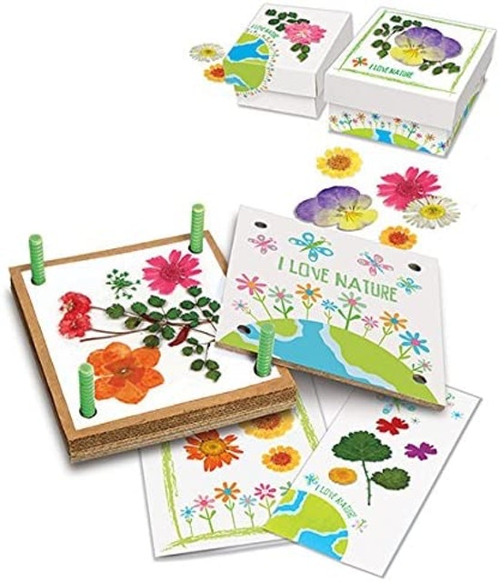 Green Creativity Pressed Flower Art Kit 3