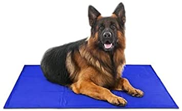 Self Cooling Dog Mat  1
