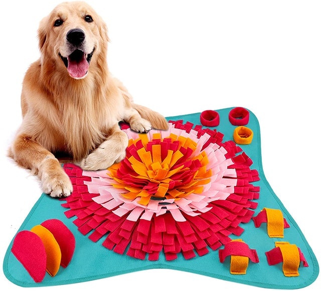 10 Best Christmas Presents for Dogs UK | Pedigree Lily's Kitchen and More 1