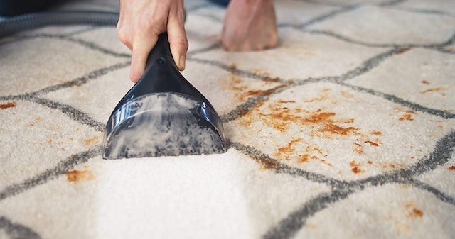 Spotclean Pro 2