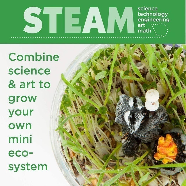 Grow 'N Glow Terrarium Kit 3
