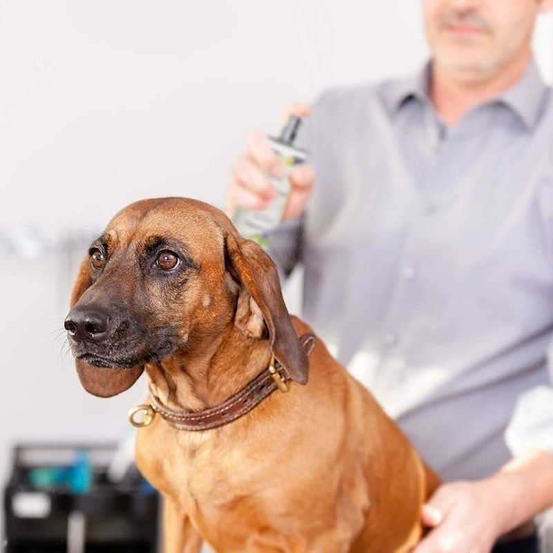 Dog Perfume Spray 2