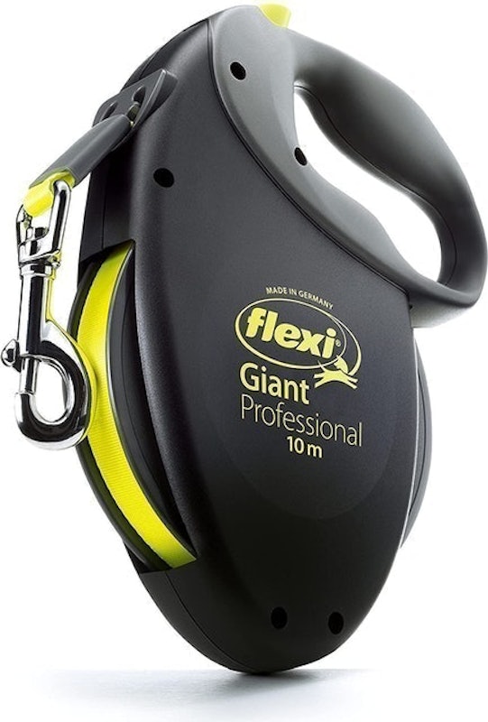 Giant Professional Neon Dog Lead 1