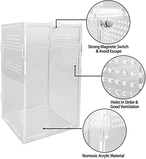Reptile Terrarium Box 2