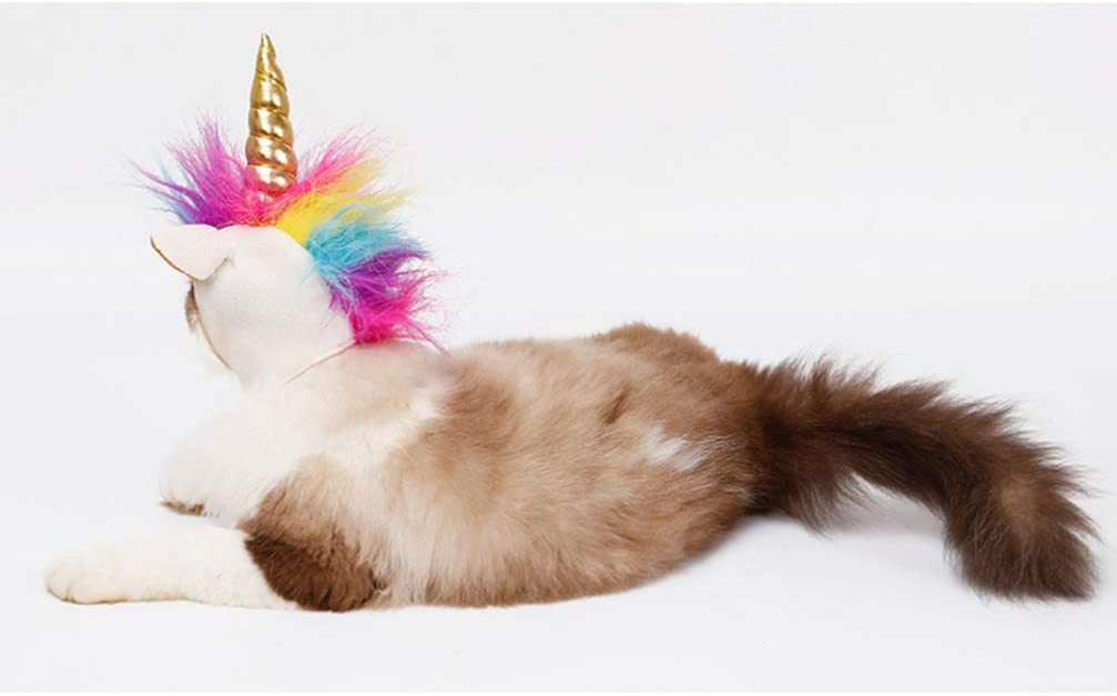 Cat Unicorn Hat 4
