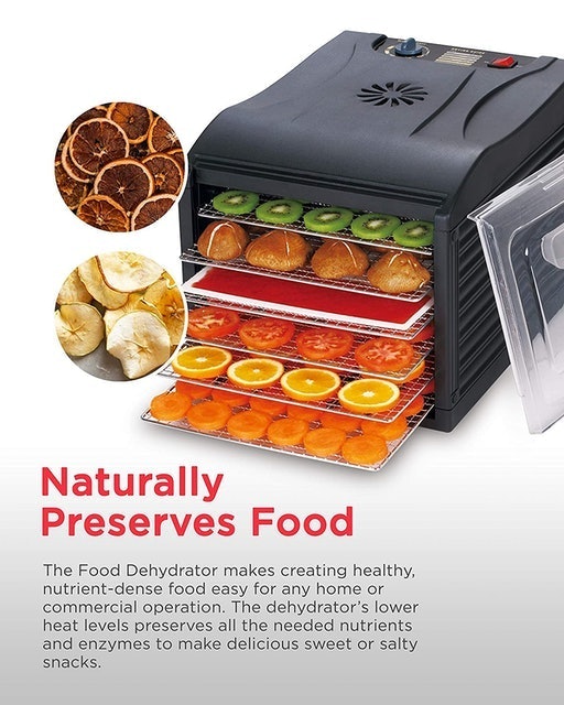 6 Tray Food Dehydrator 2